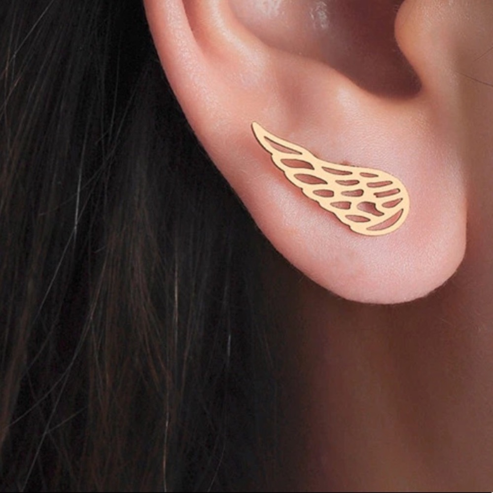 WINGS ♡ Stainless Steel Stud Earrings - Picture 1 of 10